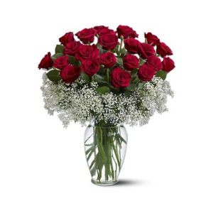 Red Roses   In Glass Vase